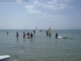 My Gallery (140/205)